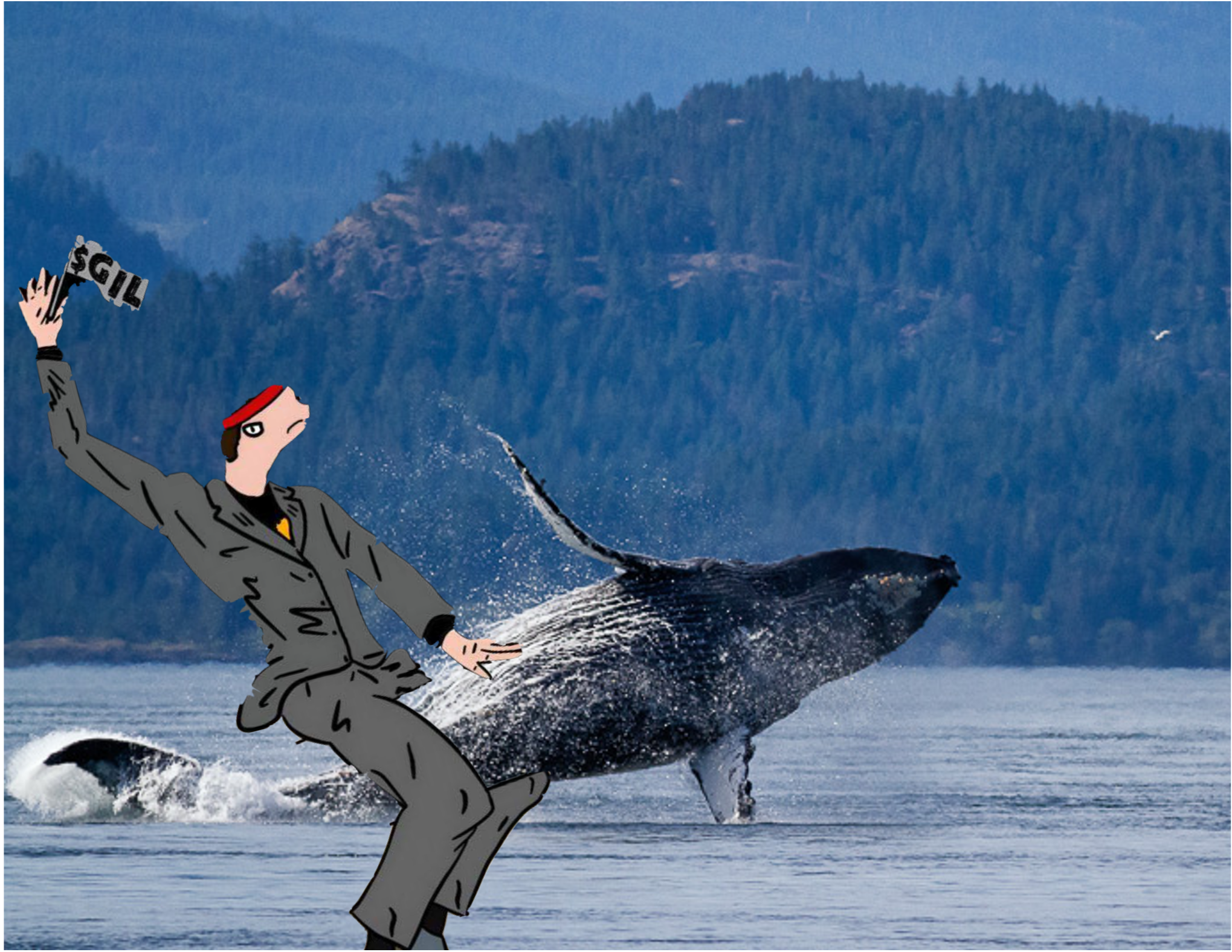gilwhale4