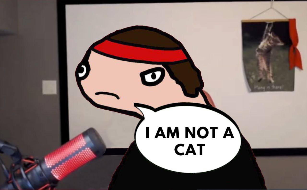 Not A Cat